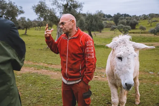 DACHZELT SILVESTER CAMP 2022/ 2023