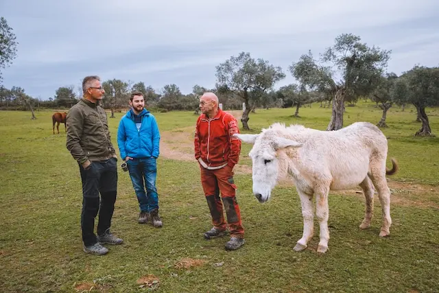DACHZELT SILVESTER CAMP 2022/ 2023