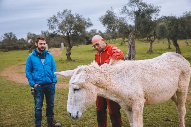 DACHZELT SILVESTER CAMP 2022/ 2023