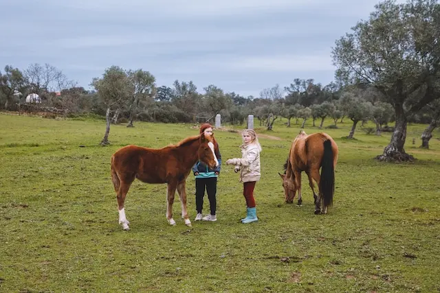 DACHZELT SILVESTER CAMP Portugal 2022/ 2023