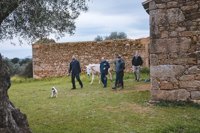 DACHZELT SILVESTER CAMP 2022/ 2023