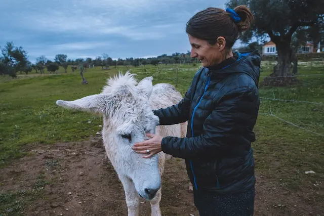 DACHZELT SILVESTER CAMP 2022/ 2023