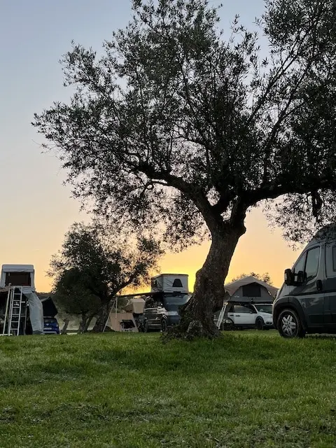 DACHZELT SILVESTER CAMP 2022/ 2023