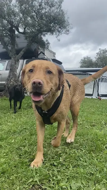 DACHZELT SILVESTER CAMP Portugal 2022/ 2023