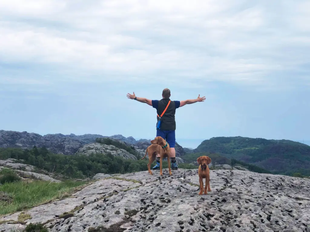 Mann mit zwei Hunden auf dem Gipfel eines Hügels