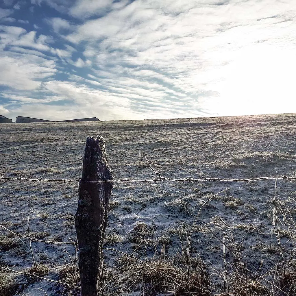 DACHZELT WINTER CAMP 2019