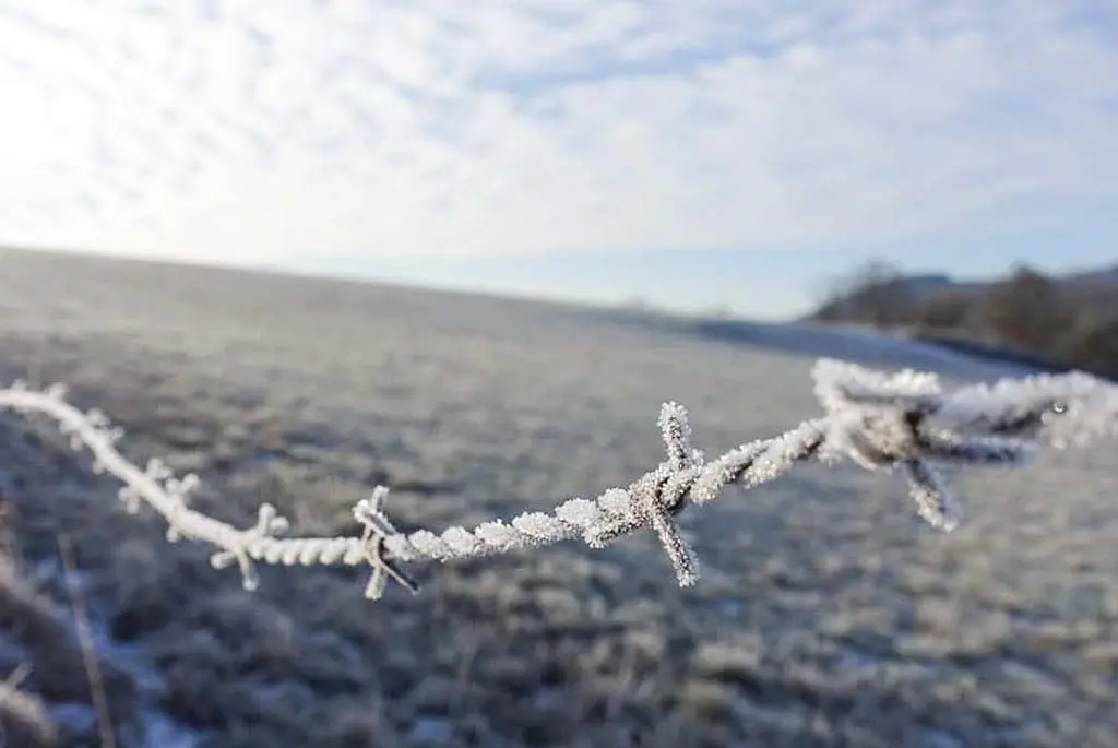 DACHZELT WINTER CAMP 2019