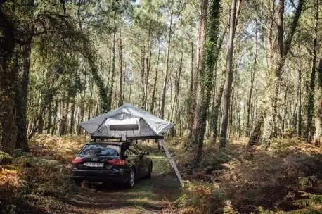 tenturi light dachzelt auf einem auto im wald bäume blätter herbst