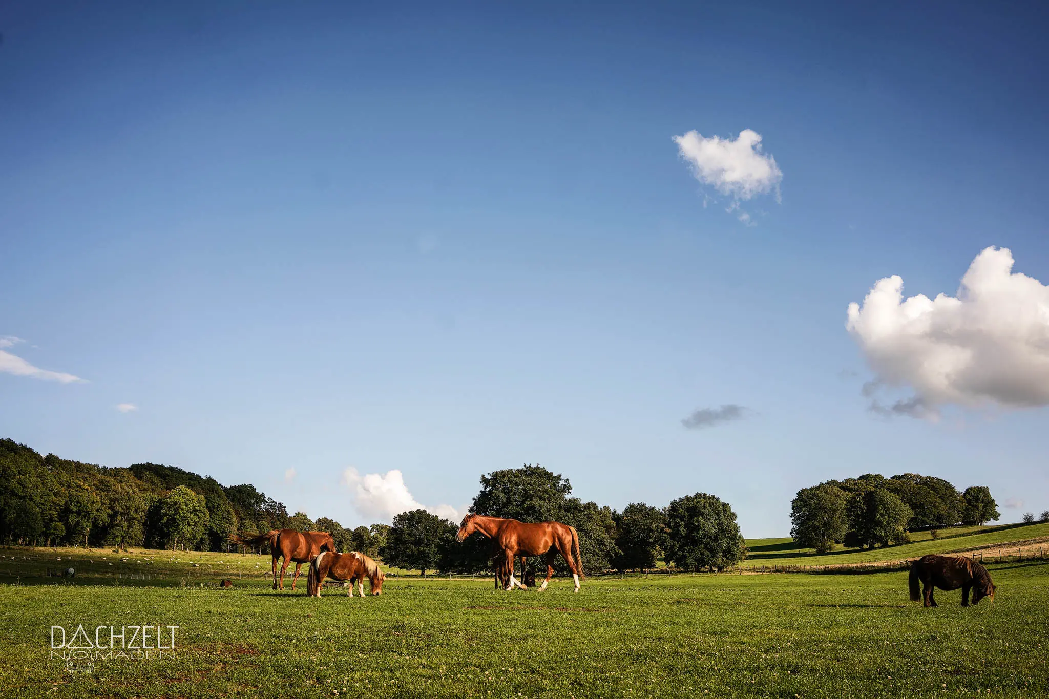 Das erste Dachzeltnomaden-Treffen der Welt 2017