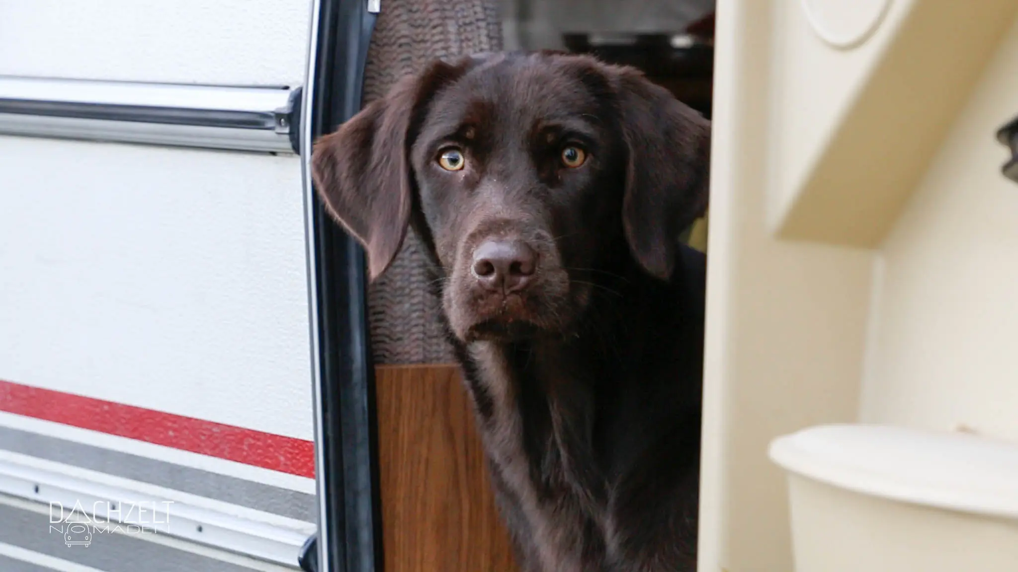 Das erste Dachzeltnomaden-Treffen der Welt 2017