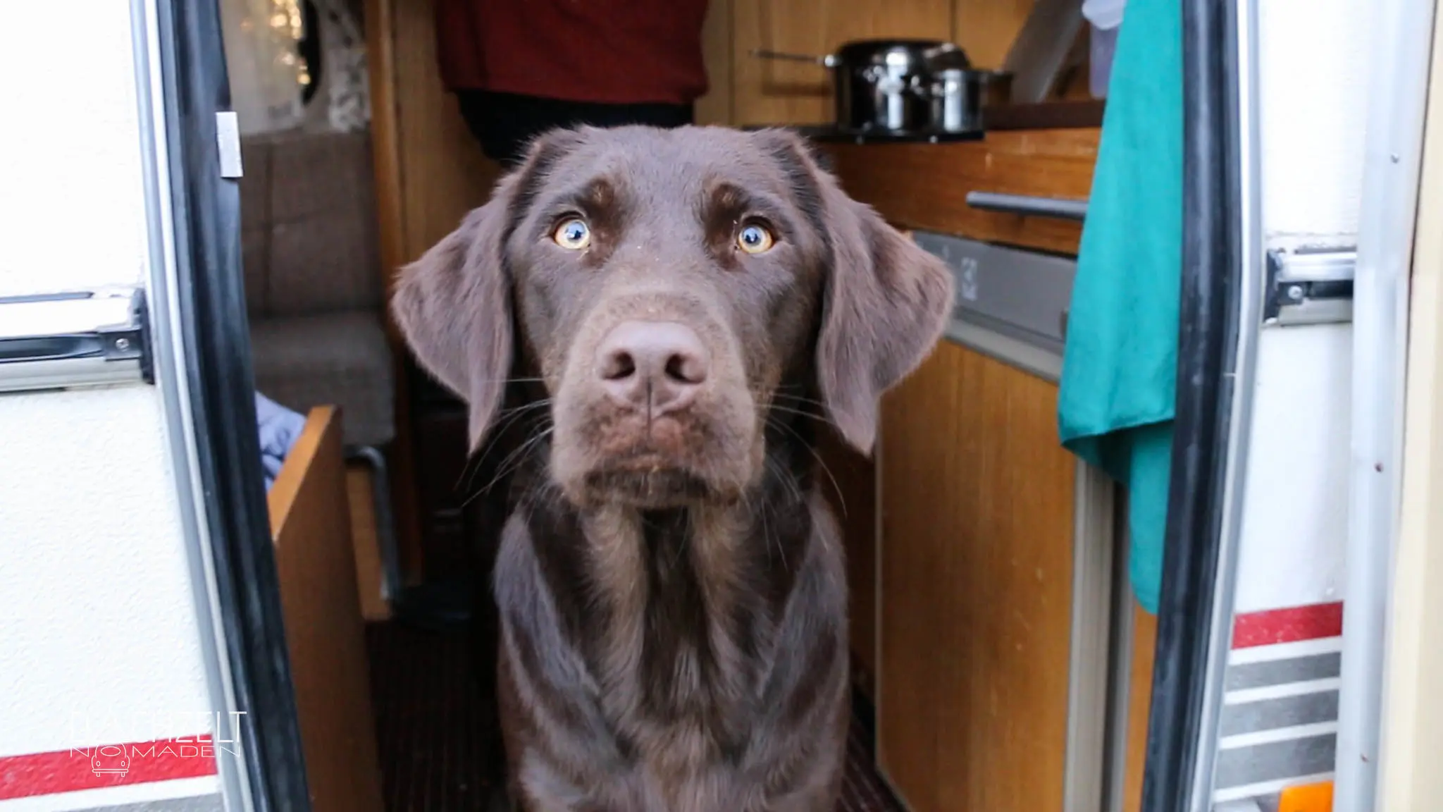 Das erste Dachzeltnomaden-Treffen der Welt 2017