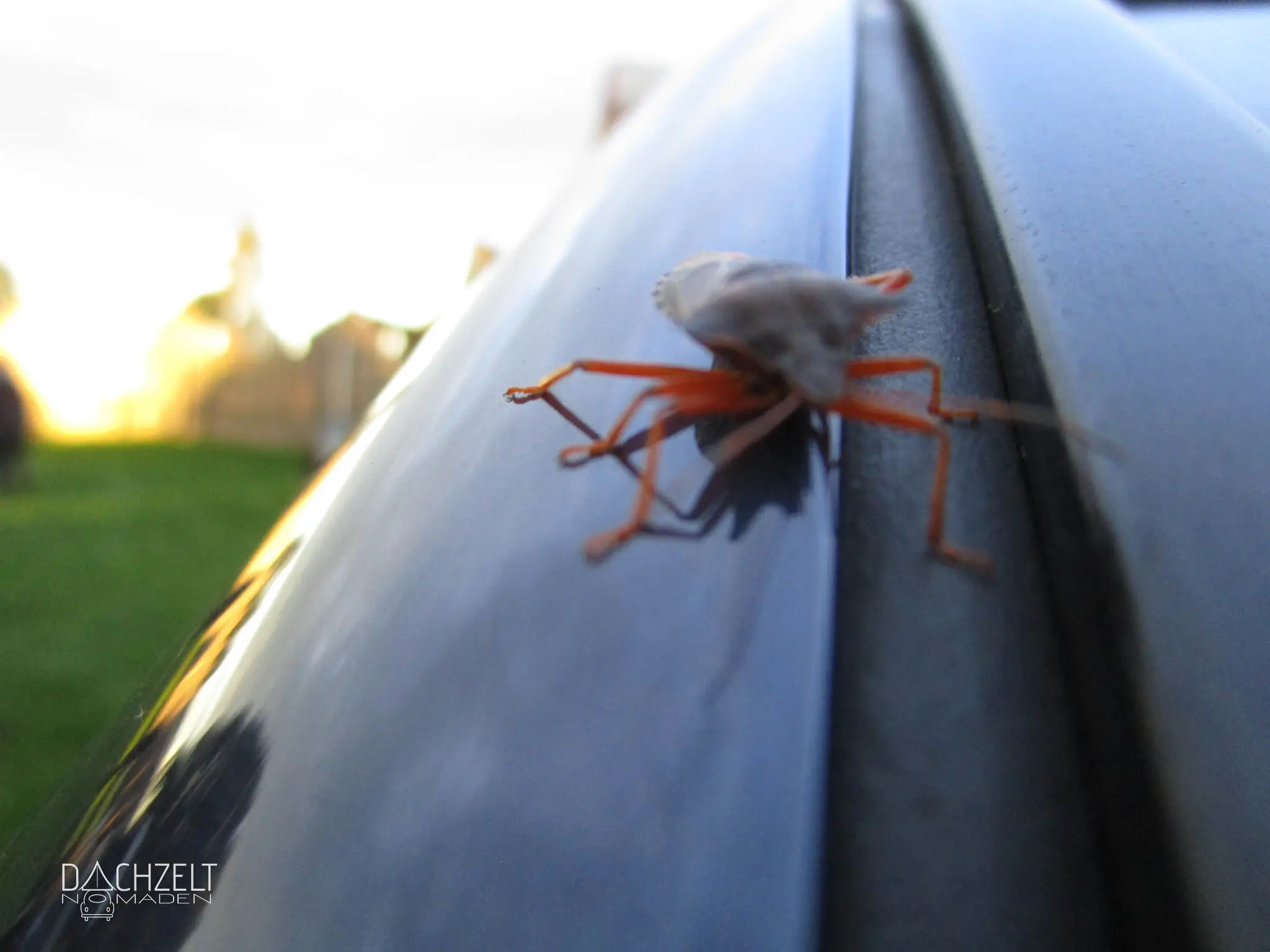 Das erste Dachzeltnomaden-Treffen der Welt 2017