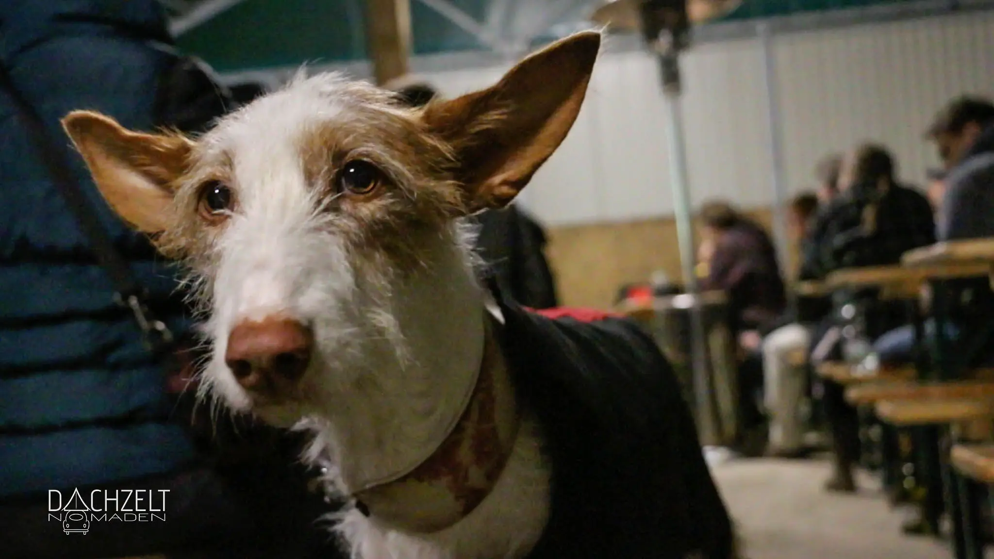 Das erste Dachzeltnomaden-Treffen der Welt 2017