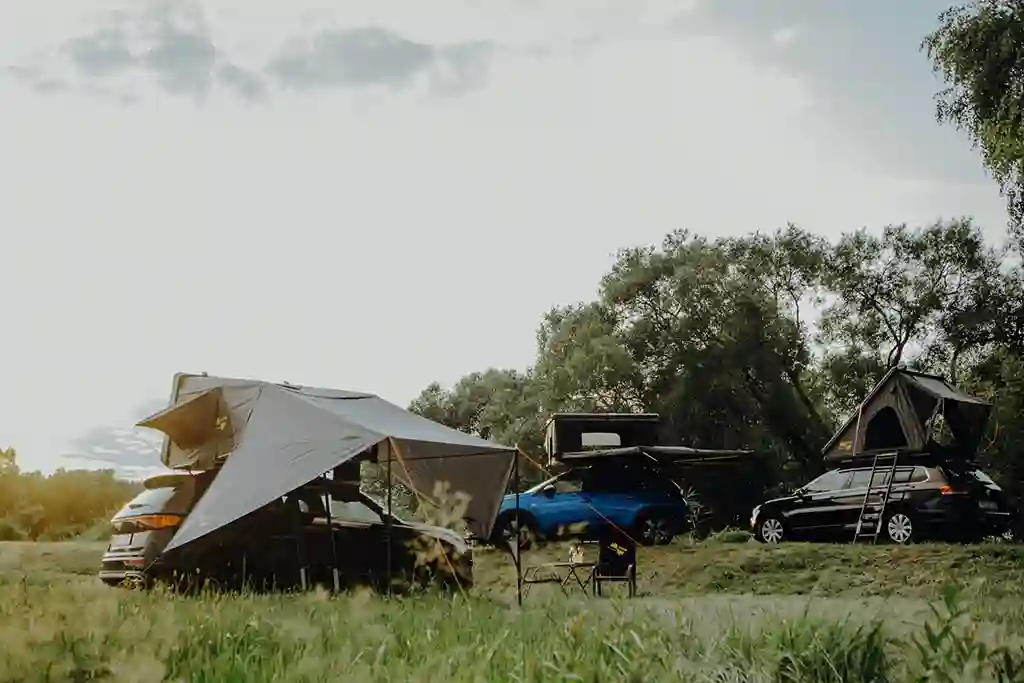 dachzelte markisen autos baeume wiese