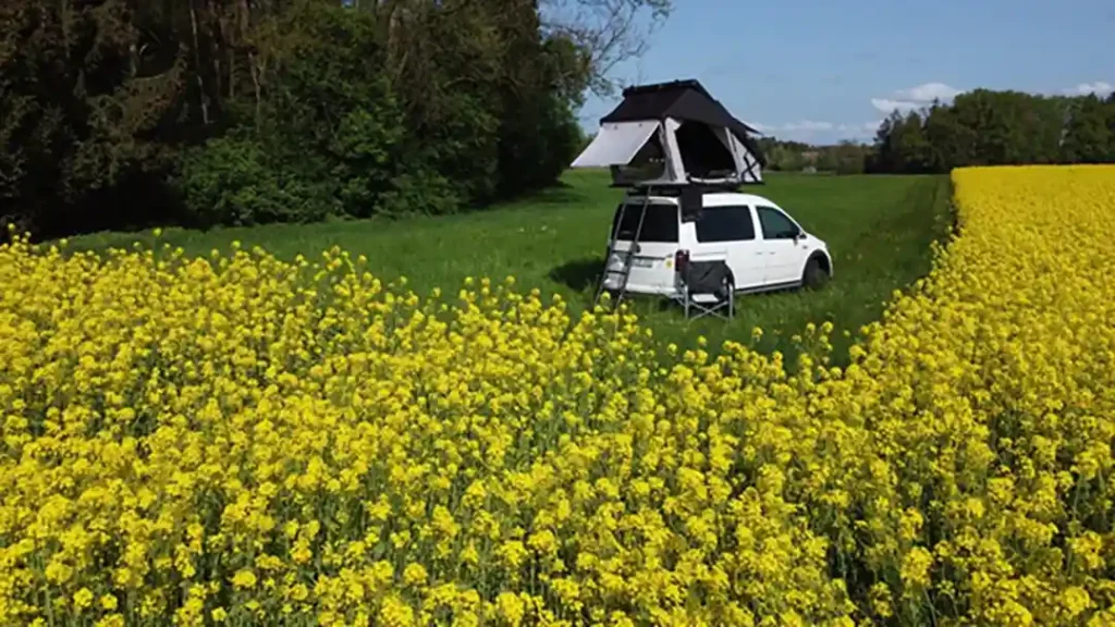 gordigear dachzelte hapuku