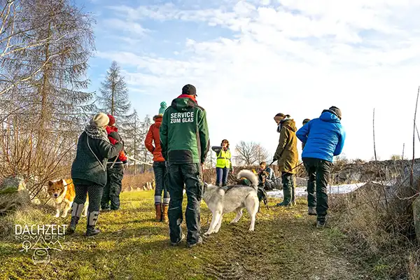 DACHZELT SILVESTER CAMP 2019/ 2020 Hundetraining