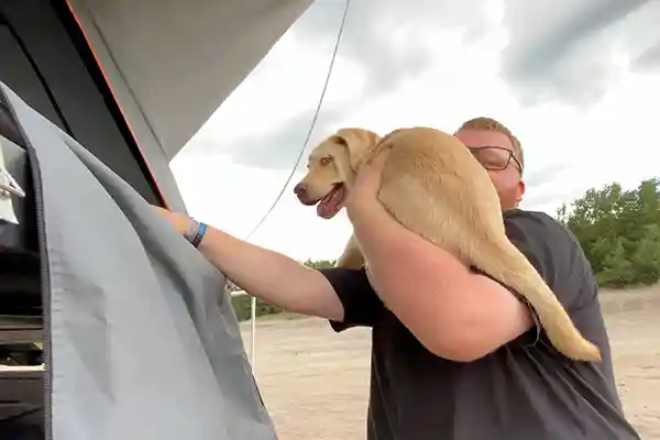 Hund wird von Mann ins Dachzelt gehoben