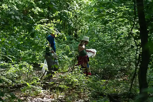 DACHZELT CAMP Niedersachsen 2023