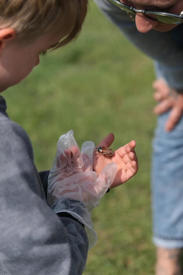 DACHZELT CAMP Niedersachsen 2023