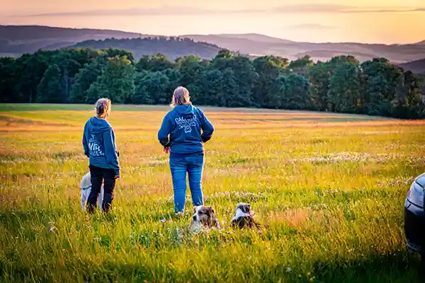 DACHZELT CAMP Thüringen Camp