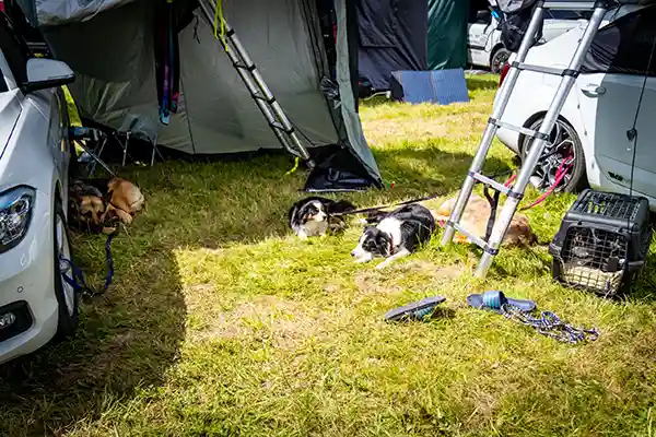 DACHZELT CAMP Thüringen Camp