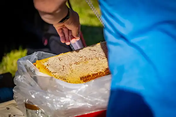 DACHZELT CAMP Thüringen Food