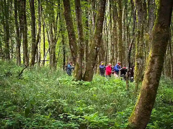 DACHZELT CAMP Thüringen Aktivitäten