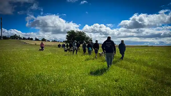 DACHZELT CAMP Thüringen Aktivitäten