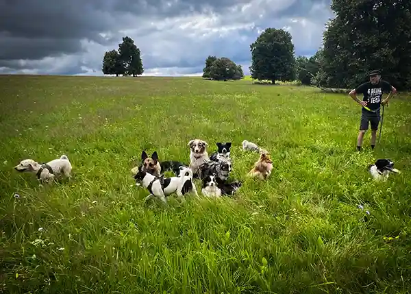 DACHZELT CAMP Thüringen Aktivitäten