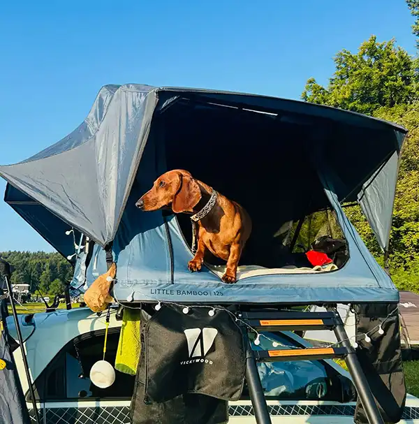 DACHZELT CAMP Bayern 2024