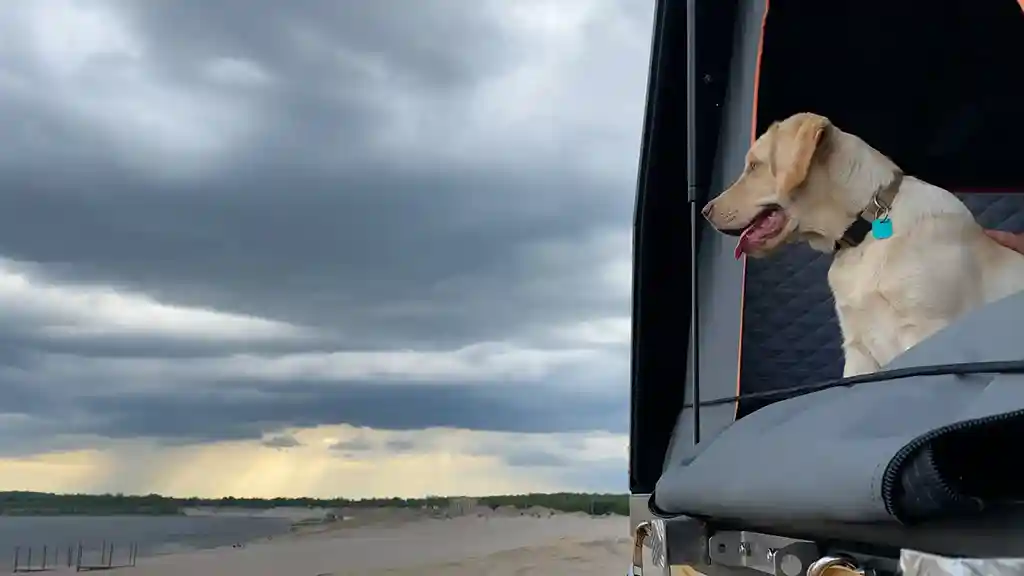 Hund im Dachzelt bewölkter himmel