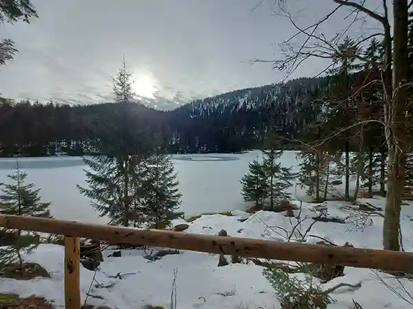 DACHZELT Winter CAMP 2024