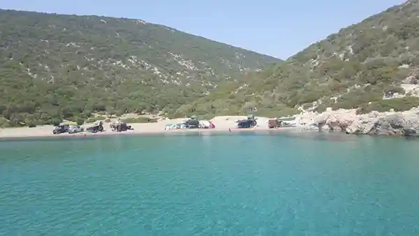 meer strand büsche