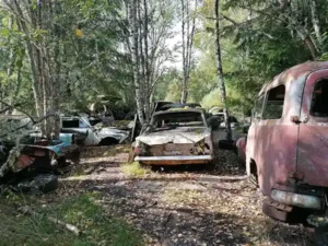 Dachzelt Reise Schweden Autofriedhof