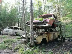 Dachzelt Reise Schweden Autofriedhof