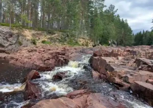 Wanderung in Brattfallet Schweden