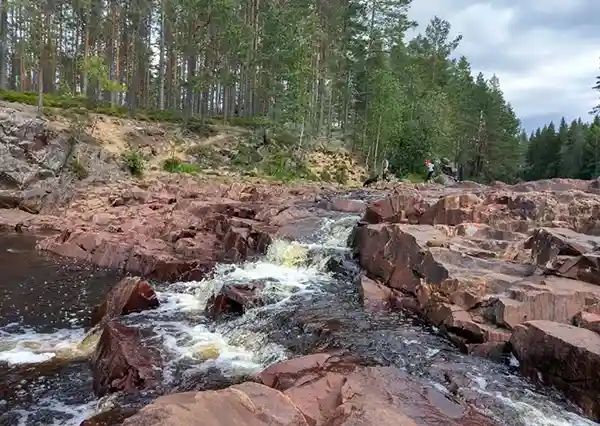 Wanderung in Brattfallet Schweden