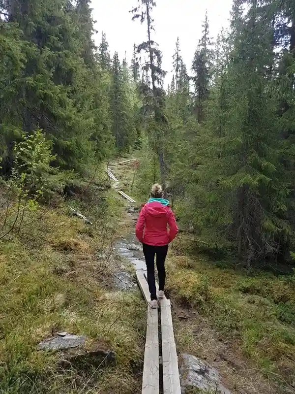 Frau beim Wandern in Schweden