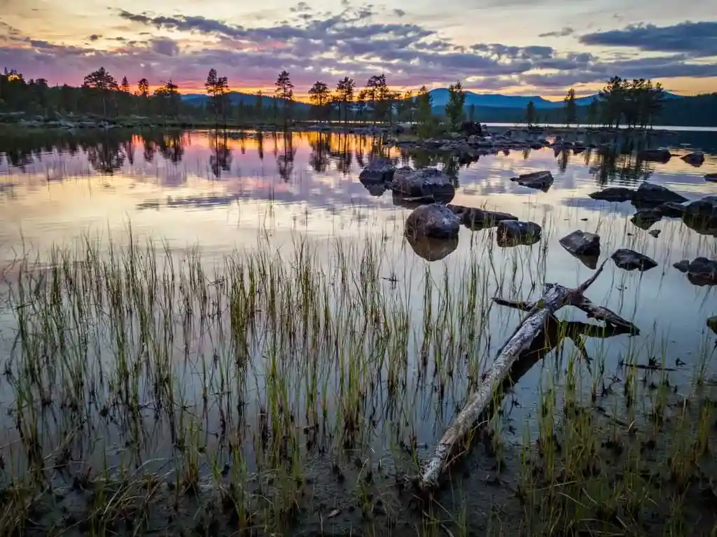 dachzelt reise schweden Sumpflandschaft im sonnenuntergang