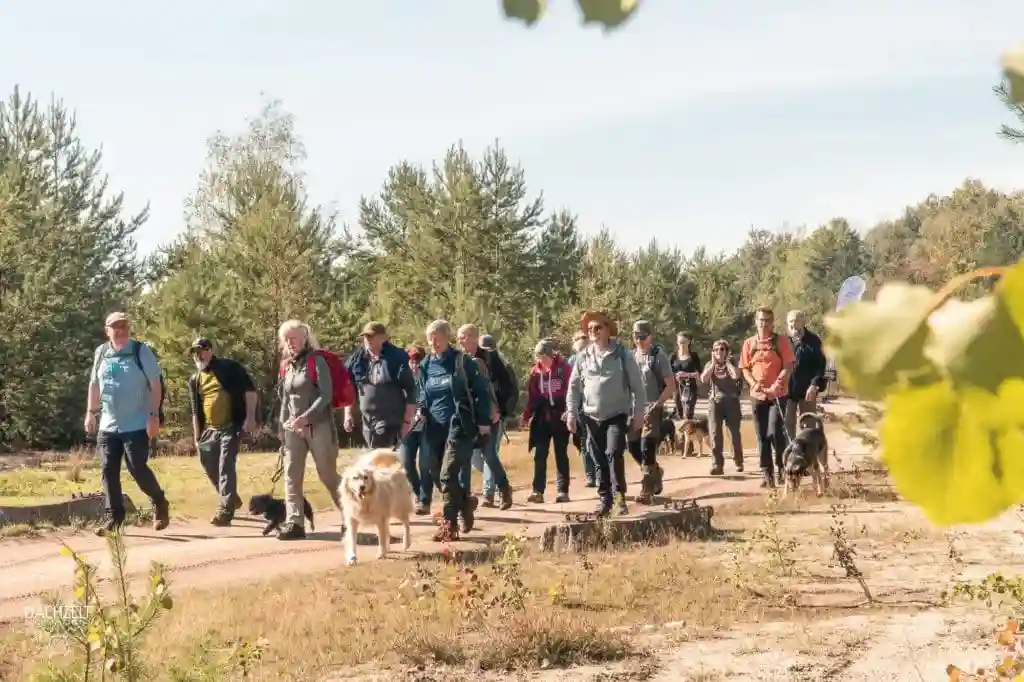 DACHZELT FESTIVAL 2022