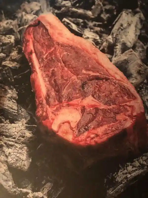 Kochen mit Feuer, Asado Grillen wie ein Gaucho typisch südamerikanisch