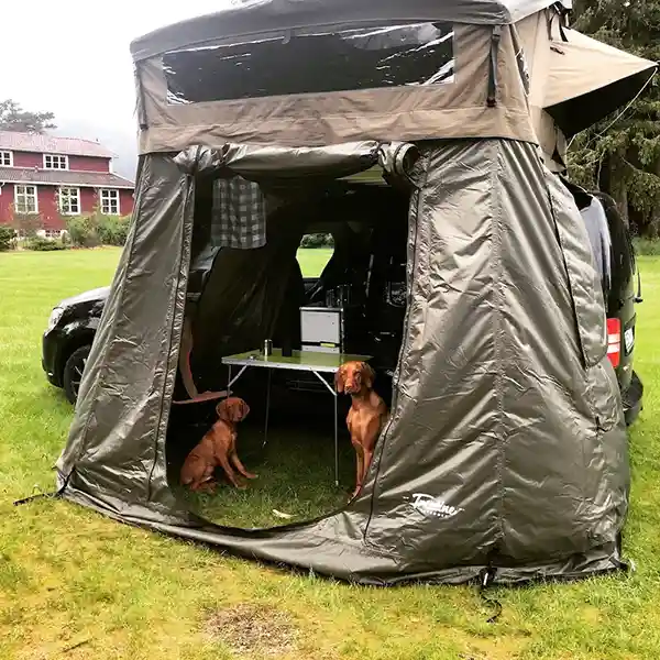 hunde im vorzelt beim dachzelten im regen