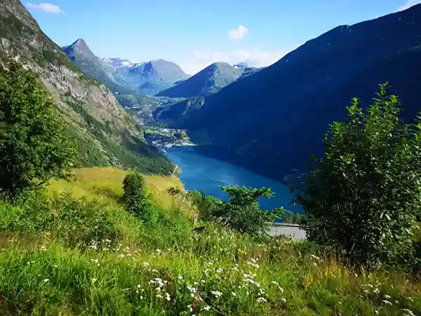 grüne wiese fjord blauer himmel felsen berge Geirangerfjord norwegen