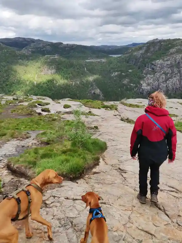 Frau mit zwei Hunden in den Bergen