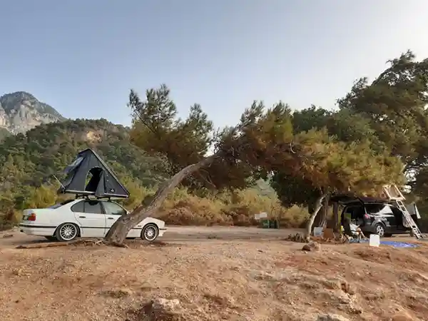 weisser bmw mit dreieck hartschalendachzelt büsche