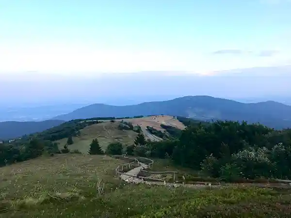 Aussicht, berge wiese kleine strasse