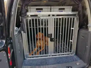 hundebox kofferraum auto mit hund