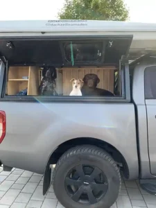 dachzeltnomaden ausbau des Autos für den Hund