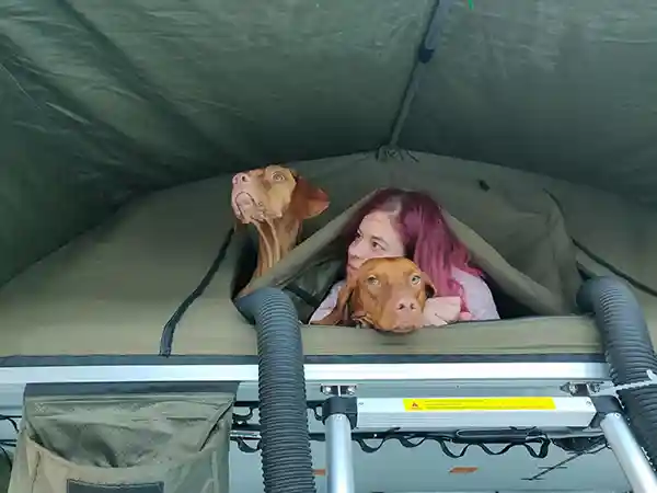 Hund und Frau im Dachzelt