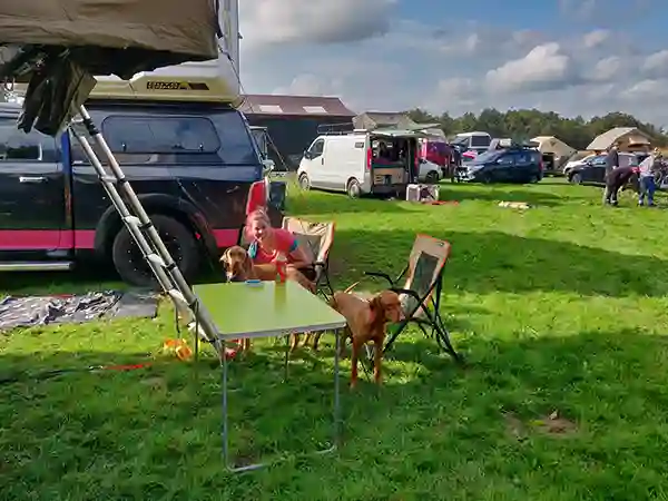 Frau mit zwei Hunden, dachzelte und autos auf einer grünen wiese